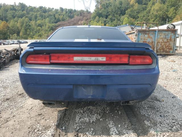 2B3CJ5DT1AH189882 - 2010 DODGE CHALLENGER R/T 蓝色 照片 6
