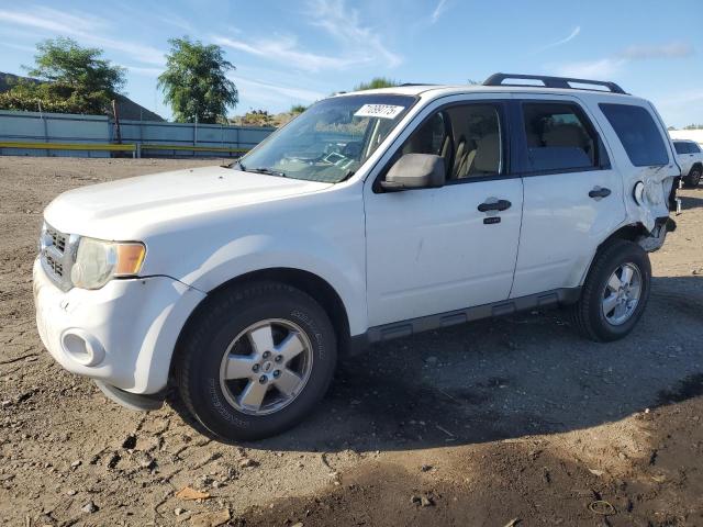 2011 FORD ESCAPE XLT, 