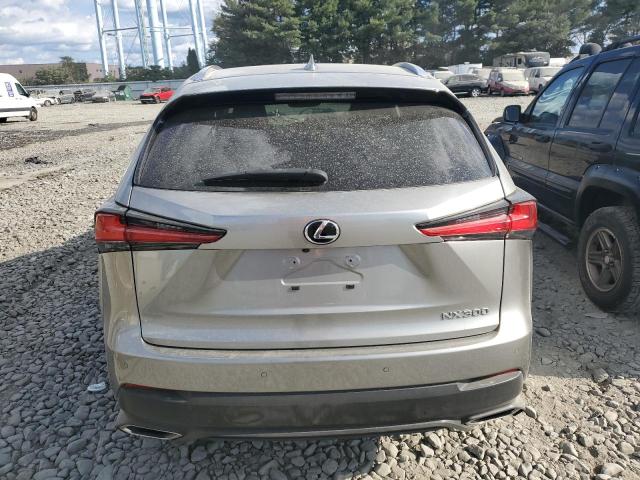 JTJBARBZ7J2155265 - 2018 LEXUS NX 300 BASE Boz foto 6