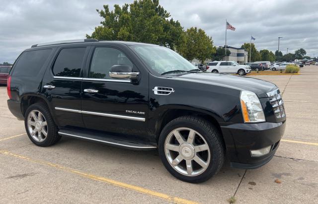 2011 CADILLAC ESCALADE LUXURY, 
