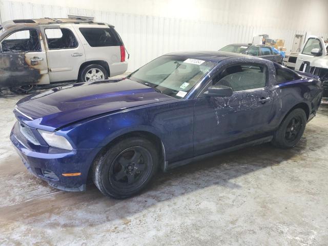 2010 FORD MUSTANG, 