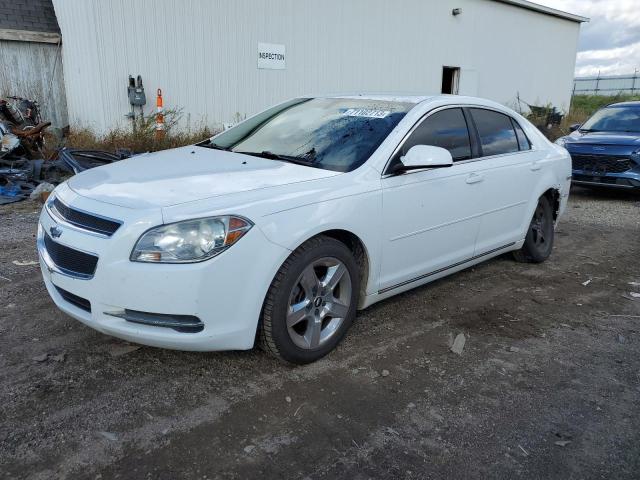 1G1ZC5EB9AF259082 - 2010 CHEVROLET MALIBU 1LT WHITE photo 1