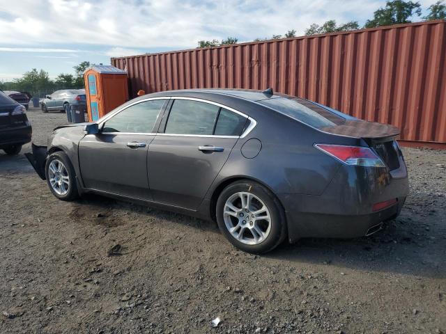 19UUA86589A015693 - 2009 ACURA TL Մոխրագույն լուսանկար 2