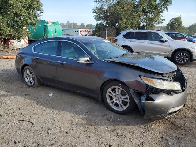 19UUA86589A015693 - 2009 ACURA TL Մոխրագույն լուսանկար 4