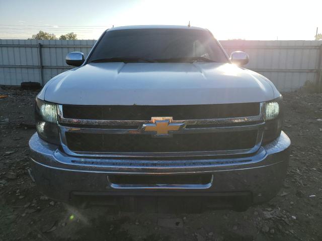 3GCRKREA3AG262986 - 2010 CHEVROLET SILVERADO K1500 LS WHITE photo 5