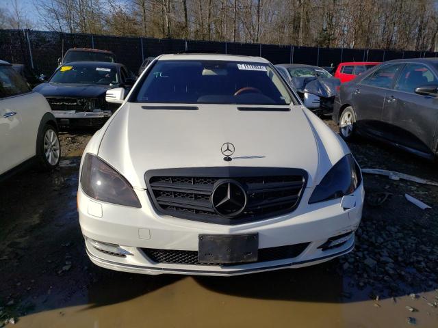 WDDNG8GB6AA348202 - 2010 MERCEDES-BENZ S 550 4MATIC WHITE photo 5