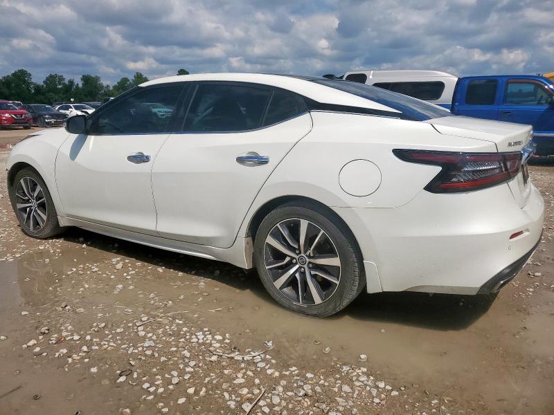 1N4AA6AV9KC382499 - 2019 NISSAN MAXIMA S WHITE photo 2