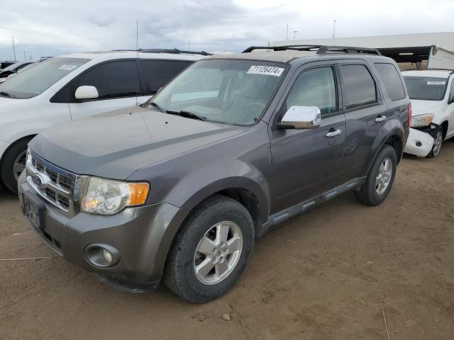 2011 FORD ESCAPE XLT, 