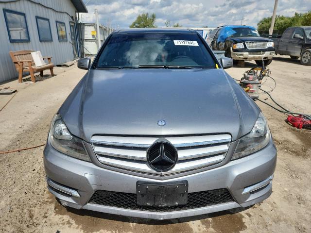 WDDGF8AB8DR251819 - 2013 MERCEDES-BENZ C 300 4MATIC GRAY photo 5