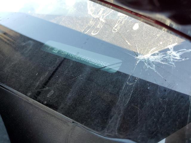 7SAYGDEE6TF392355 - 2026 TESLA MODEL Y 红色 照片 13