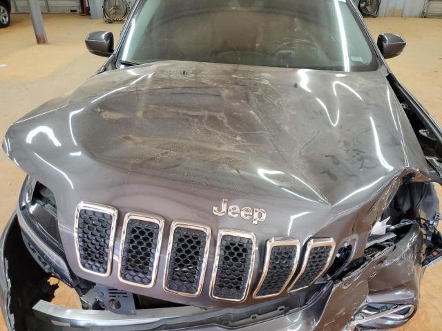 1C4PJMDX2KD352065 - 2019 JEEP CHEROKEE LIMITED GRAY photo 12