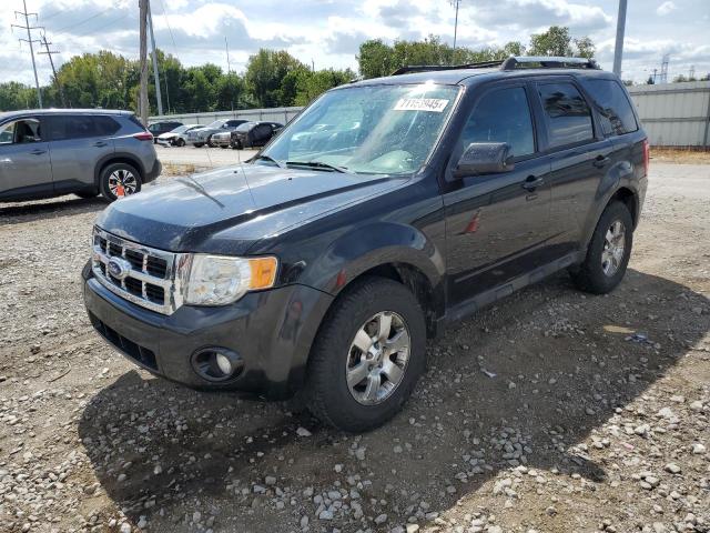 2011 FORD ESCAPE LIMITED, 