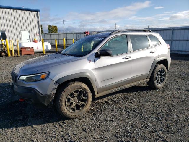 1C4PJMBN3KD209952 - 2019 JEEP CHEROKEE TRAILHAWK SILVER photo 1