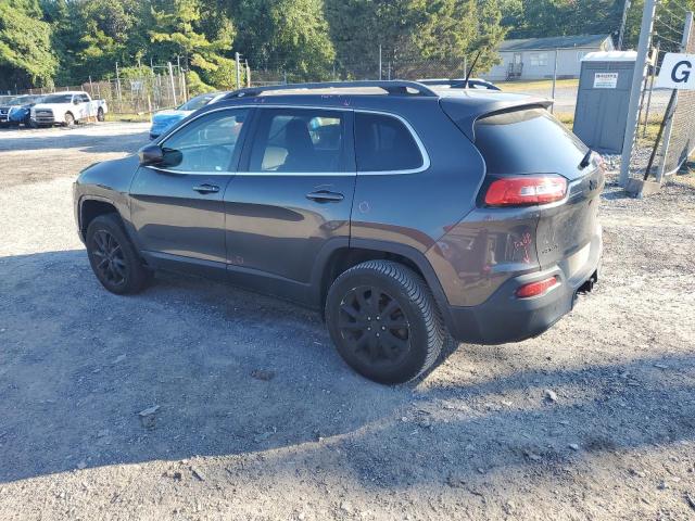 1C4PJMDB0HW621245 - 2017 JEEP CHEROKEE LIMITED Boz foto 2