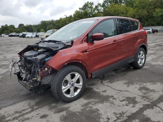 2014 FORD ESCAPE SE, 