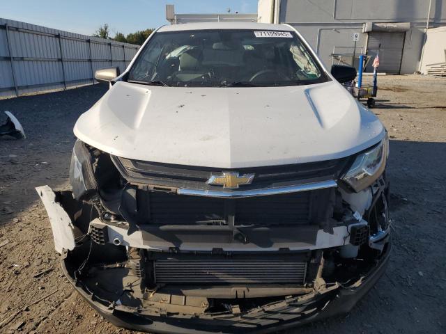 2GNAXHEV6K6193811 - 2019 CHEVROLET EQUINOX LS Blanc photo 5