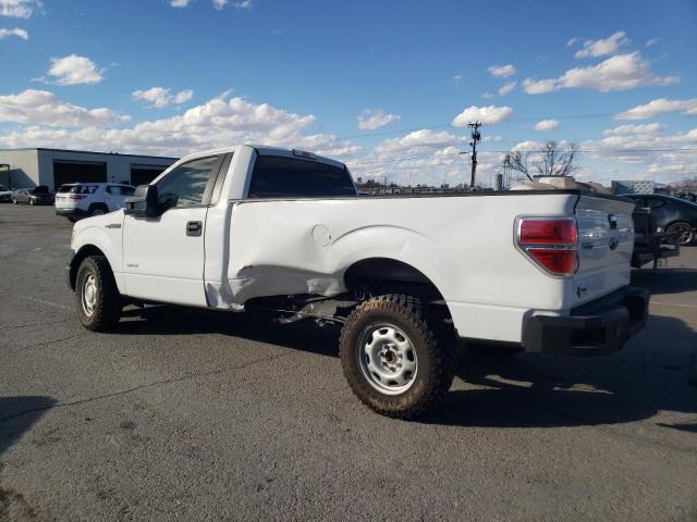 1FTPF1CT4EKG37056 - 2014 FORD F150 WHITE photo 2