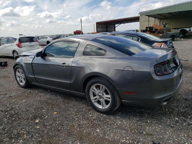 1ZVBP8AM3E5228229 - 2014 FORD MUSTANG GRAY photo 2