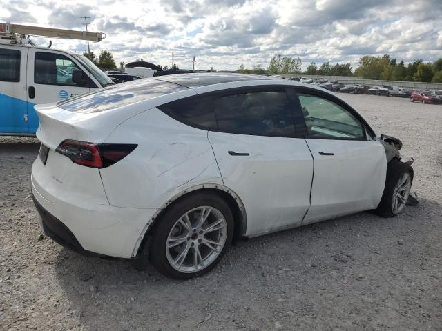 5YJYGDEE6MF075299 - 2021 TESLA MODEL Y WHITE photo 3