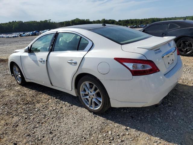 1N4AA5AP7BC841296 - 2011 NISSAN MAXIMA S თეთრი ფოტო 2