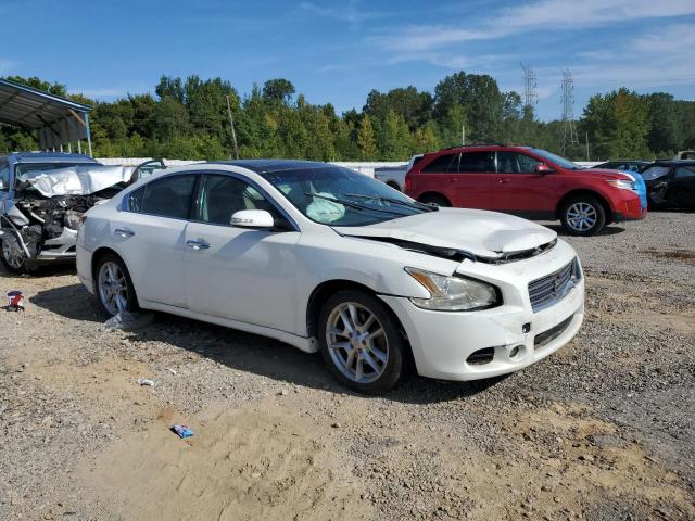 1N4AA5AP7BC841296 - 2011 NISSAN MAXIMA S თეთრი ფოტო 4