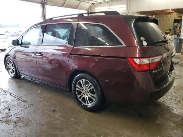 5FNRL5H60CB101338 - 2012 HONDA ODYSSEY EXL Bordo foto 2