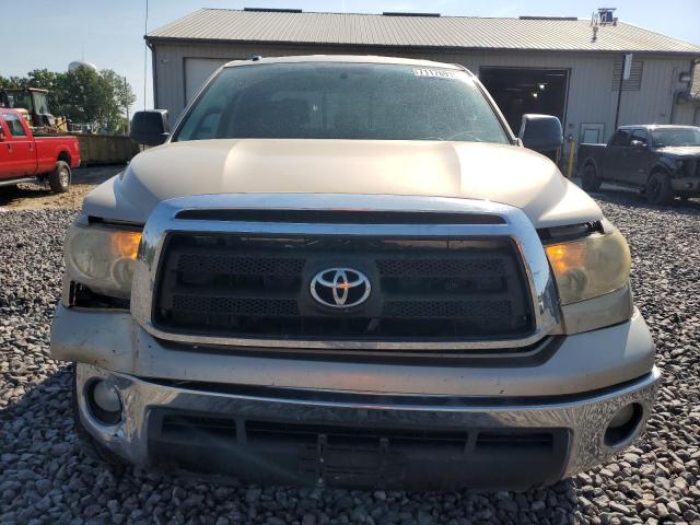 5TFUM5F11AX008717 - 2010 TOYOTA TUNDRA DOUBLE CAB SR5 GOLD photo 5