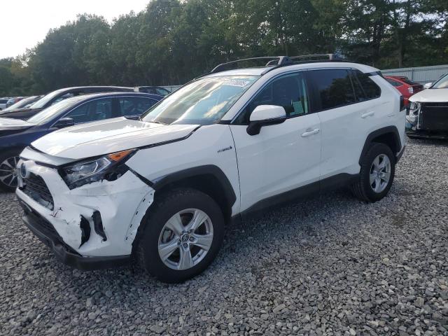 2019 TOYOTA RAV4 XLE, 