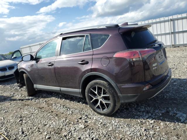 2T3JFREV9HW567469 - 2017 TOYOTA RAV4 SE Բորդո լուսանկար 2