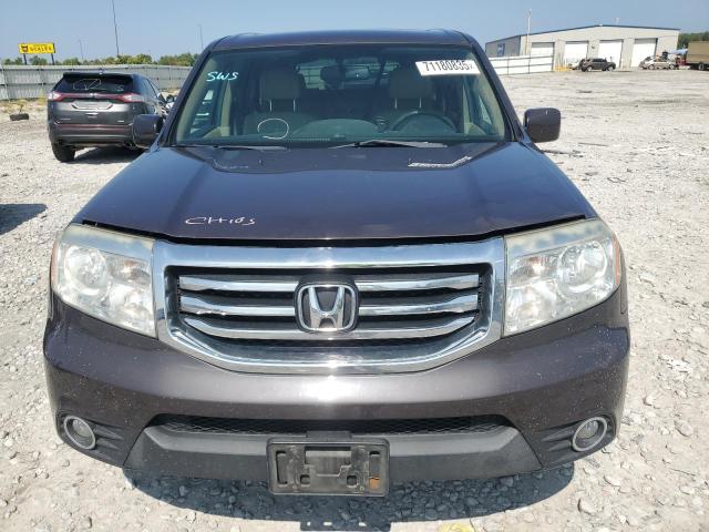 5FNYF4H59DB064277 - 2013 HONDA PILOT EXL Сірий фото 5