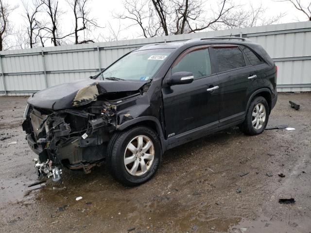 2011 KIA SORENTO BASE, 