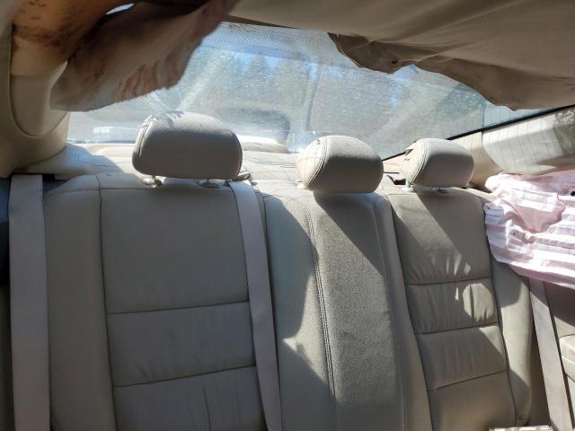 1HGCS22838A014228 - 2008 HONDA ACCORD EXL RED photo 10