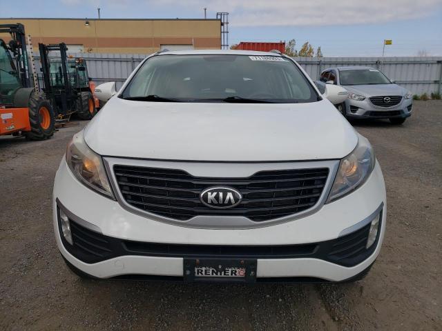 KNDPB3A20D7538060 - 2013 KIA SPORTAGE BASE WHITE photo 5