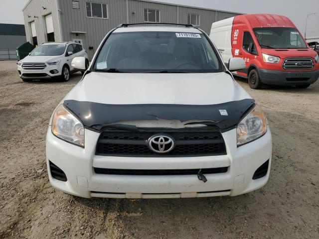 2T3BF4DV3BW142295 - 2011 TOYOTA RAV4 白色 照片 5