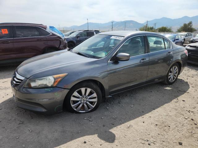 2011 HONDA ACCORD EXL, 