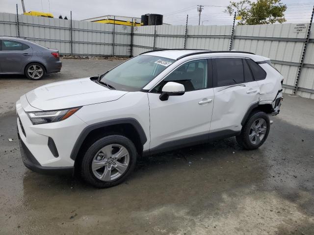 2024 TOYOTA RAV4 XLE, 