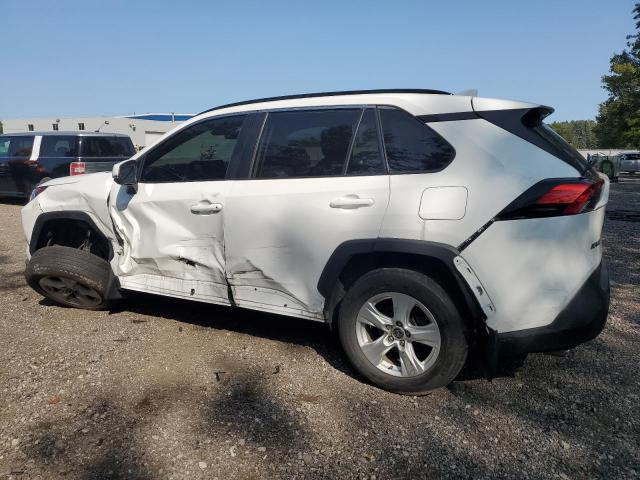 2T3R1RFV8MC196770 - 2021 TOYOTA RAV4 XLE WHITE photo 2