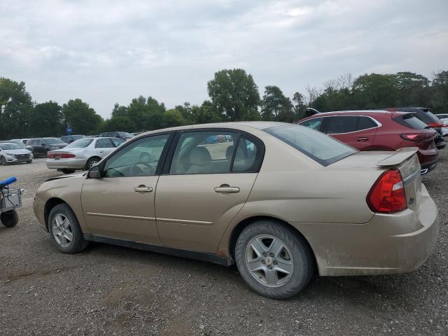 1G1ZT52805F315926 - 2005 CHEVROLET MALIBU LS GOLD photo 2