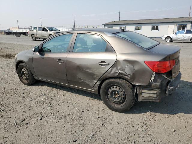 KNAFU4A24A5223388 - 2010 KIA FORTE EX TAN photo 2