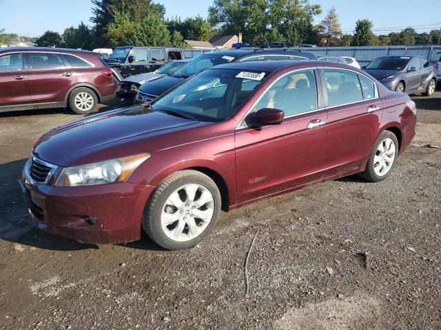 2008 HONDA ACCORD EXL, null