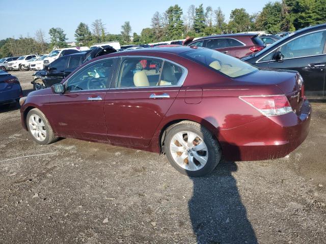 1HGCP368X8A057837 - 2008 HONDA ACCORD EXL BURGUNDY photo 2