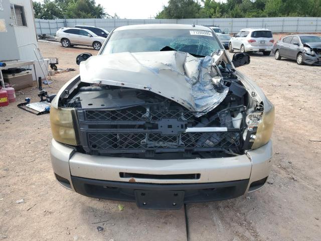 1GCEC14X49Z208515 - 2009 CHEVROLET SILVERADO C1500 棕色 照片 5