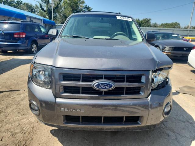 1FMCU0DG1AKD28473 - 2010 FORD ESCAPE XLT GRAY photo 5