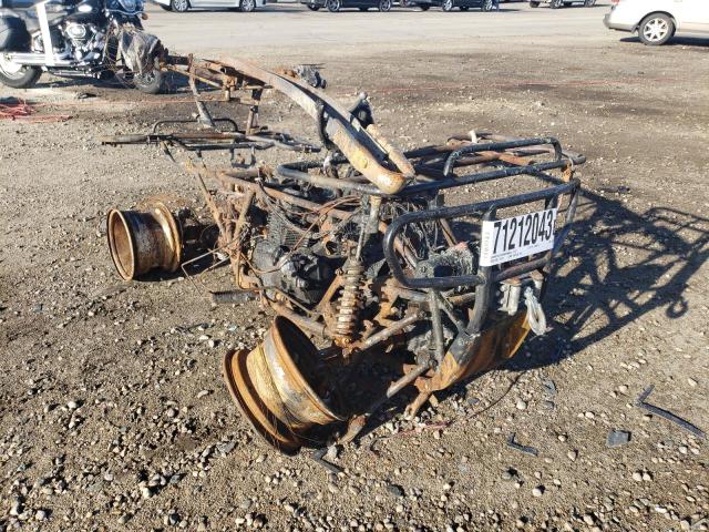 478TE250134205271 - 2003 HONDA TRX350 FM BURN photo 1