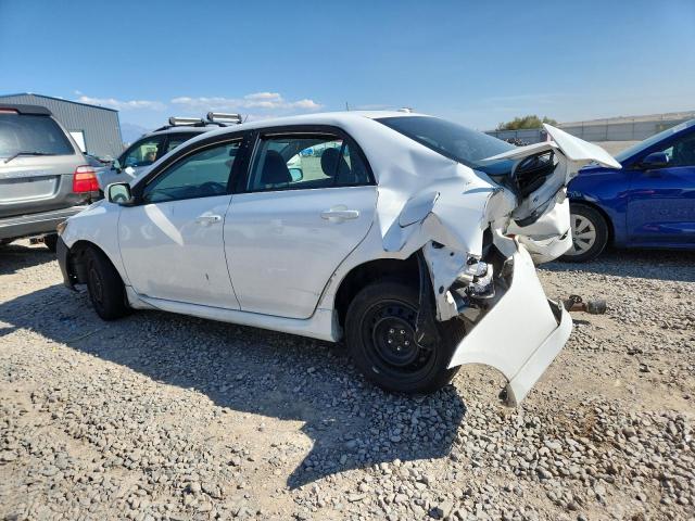 1NXBU40E59Z064102 - 2009 TOYOTA COROLLA BASE 白色 照片 2