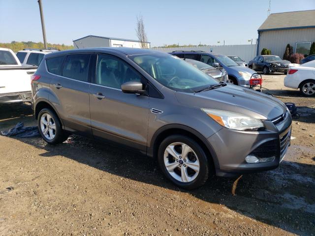 1FMCU9GX5EUA75717 - 2014 FORD ESCAPE SE GRAY photo 4