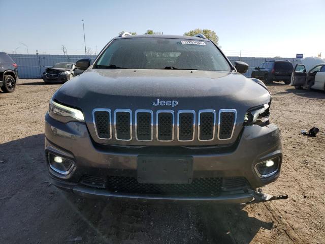 1C4PJMDXXKD320920 - 2019 JEEP CHEROKEE LIMITED GRAY photo 5