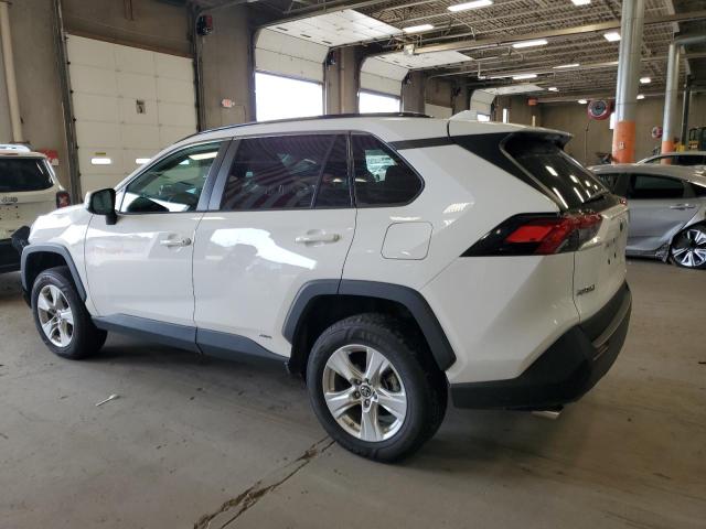 2T3MWRFV6KW018976 - 2019 TOYOTA RAV4 LE თეთრი ფოტო 2