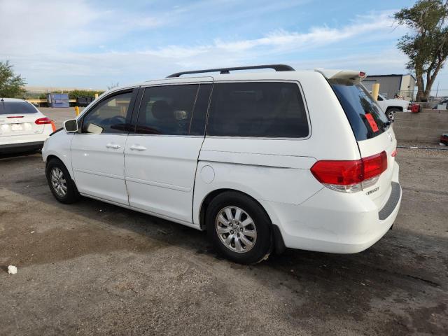 5FNRL38609B411499 - 2009 HONDA ODYSSEY EXL WHITE photo 2