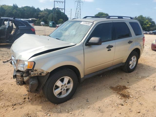 2011 FORD ESCAPE XLT, 